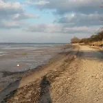 Am Burgwall 게스트하우스
